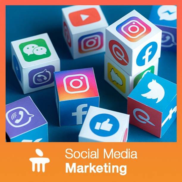 MANIPAL Social media marketing Vocational & Personal Development