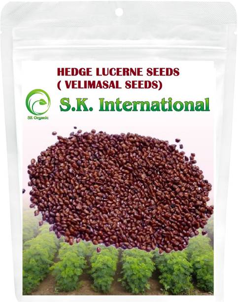 SK ORGANIC HEDGE LUCERNE (500 Gms) Velimasal/dasrath grass seeds Seed