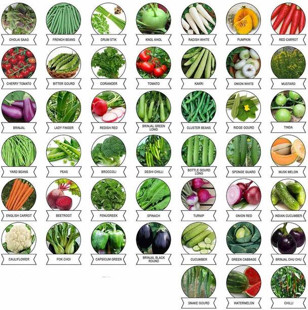Greenery Hub Vegetables Seeds Combo 45 Varieties Of Vegetables Seed