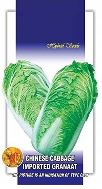 Qualtivate Cabbage Seed