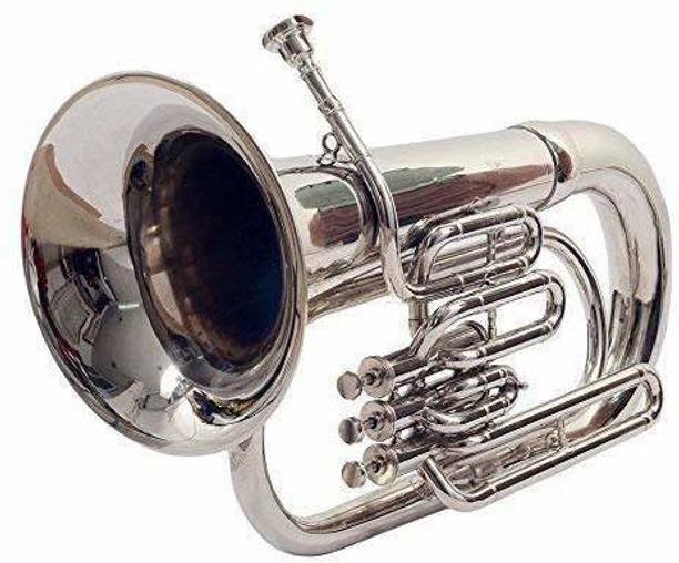 raghav associates euphonium 01 Euphonium