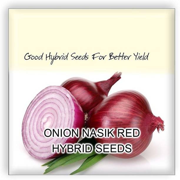 MKR Enterprises Pyaaj Seed