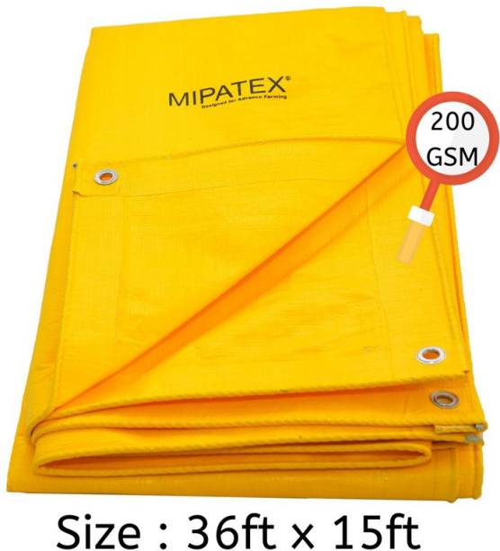 Mipatex Tarpaulin Sheet Waterproof Heavy Duty 36ft x 15ft, 200 GSM Plastic Cover Tent - For Multipurpose Plastic Cover for Truck, Roof, Rain, Outdoor or Sun, Poly Tarp with Aluminium Eyelets every 3 feet (Yellow)