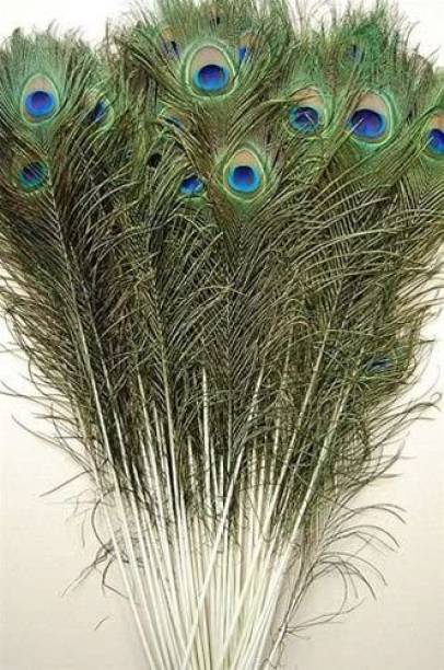 Weird Pack of 10 Decorative Feathers
