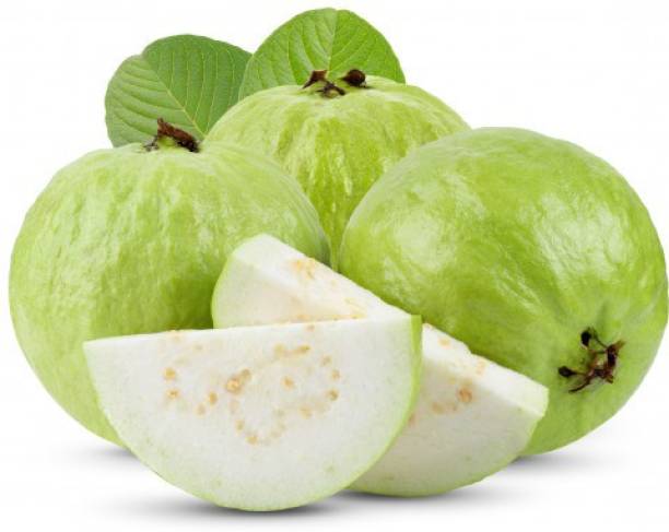 Arlo Guava Plant