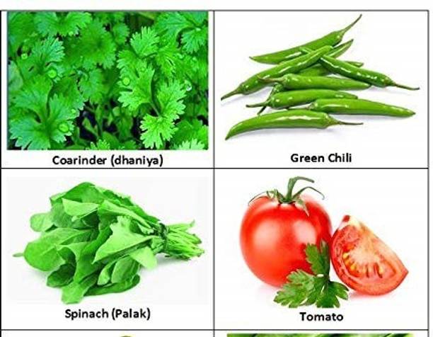 GRAH PRAVESH vegetable seeds Seed
