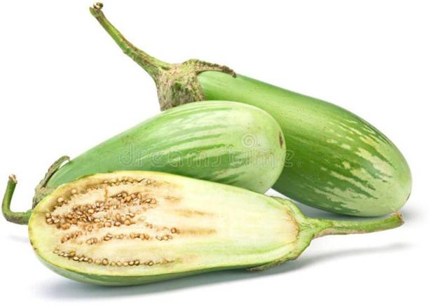XOLDA Brinjal green long Seed