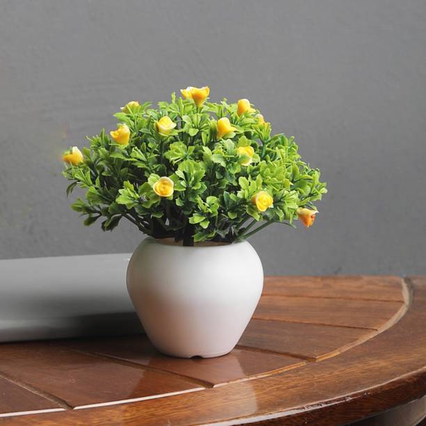 Foliyaj Wild Artificial Plant  with Pot