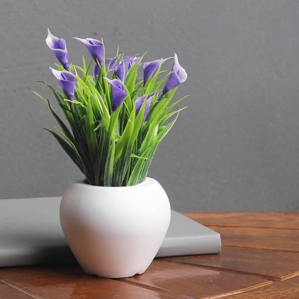 Foliyaj Wild Artificial Plant  with Pot