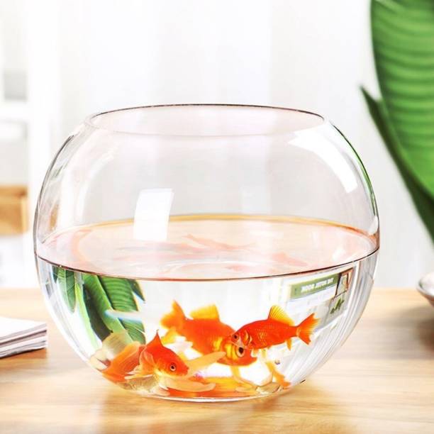 RISHABH ENTERPRISES Glass Terrarium Glass Bubble Bowl, Fish Bowl, Rose Bowl - Glass Round Vase, Events, Decorating, Home Decor, or Office Decor (15-cm) Glass Vase