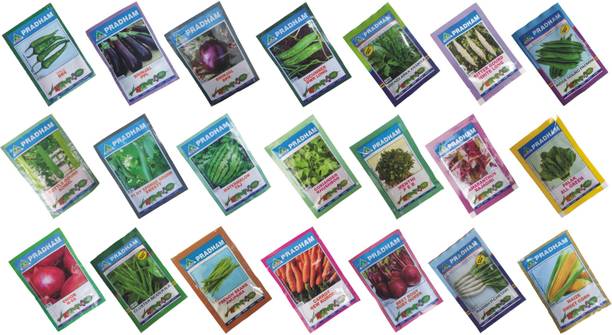 PRADHAM SEEDS VEGETABLE SEEDS, PLANT SEEDS Seed