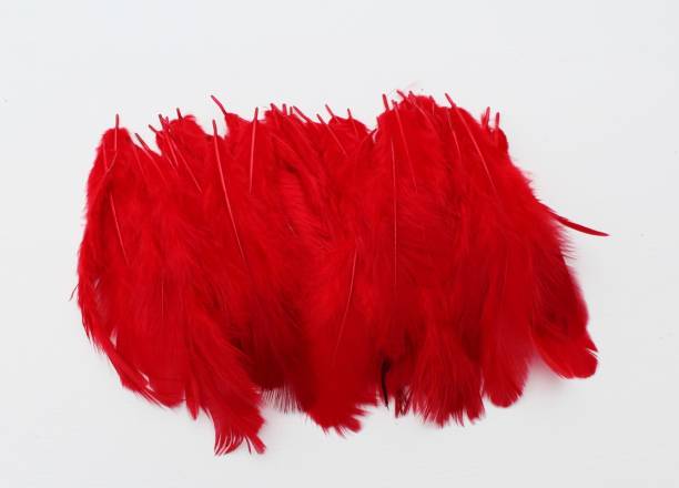 handymandy store Pack of 200 Decorative Feathers