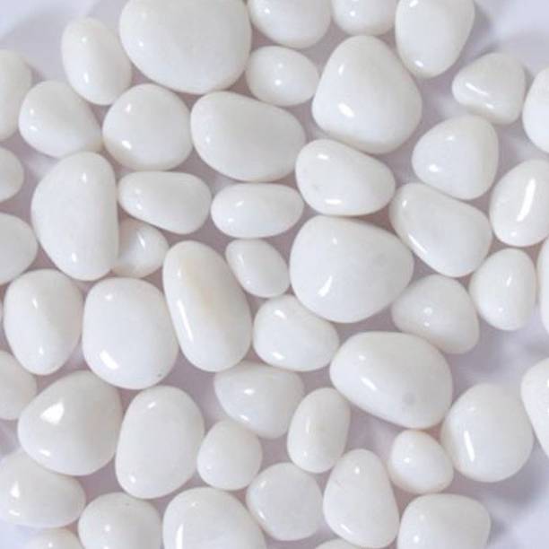 WAMUS 960 Gram Asymmetrical Polished WHITE Pebbles for Aquarium/Decoration/Garden/Table Vase Polished Asymmetrical Marble Pebbles