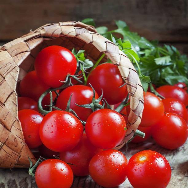 SM Exports ARKA Samrat Tomato vegetable seeds Seed