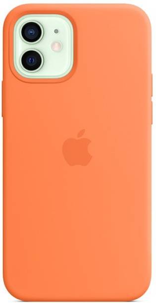 APPLE Back Cover for Apple iPhone 12 Pro