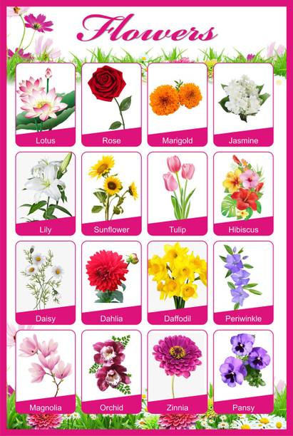 Flowers Educational Charts for Kids Home and School | Flower name Chart with quality images Paper Print
