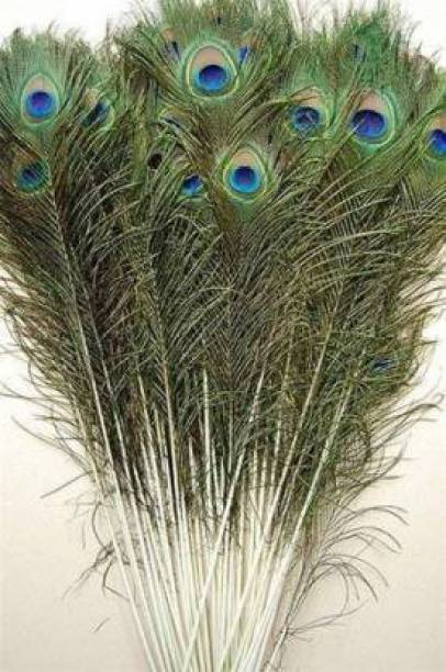A1 COLLECTION Pack of 20 Decorative Feathers