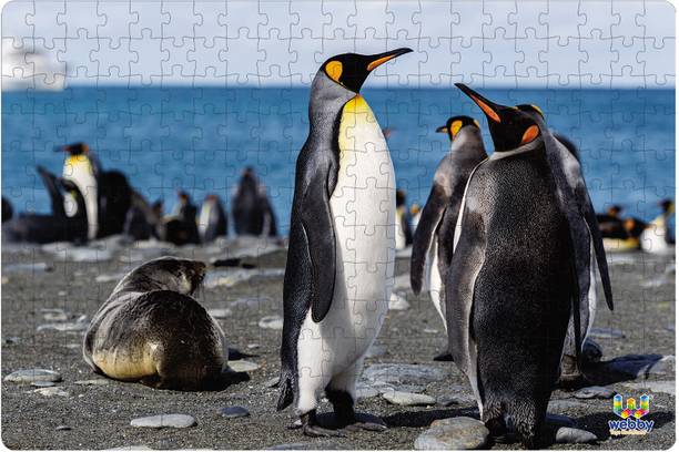 Webby Penguins on Seashore Jigsaw Puzzle, 252 pieces