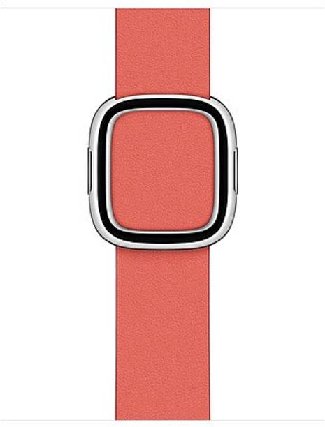 Apple Smart Watch Straps - Buy Apple Smart Watch Straps Online at Best ...
