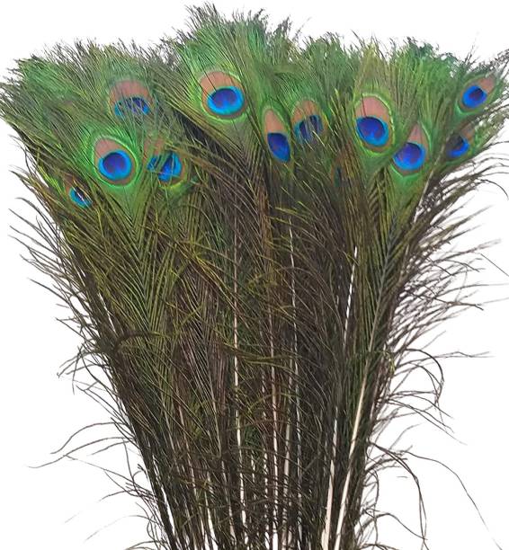 Poloo Pack of 15 Decorative Feathers