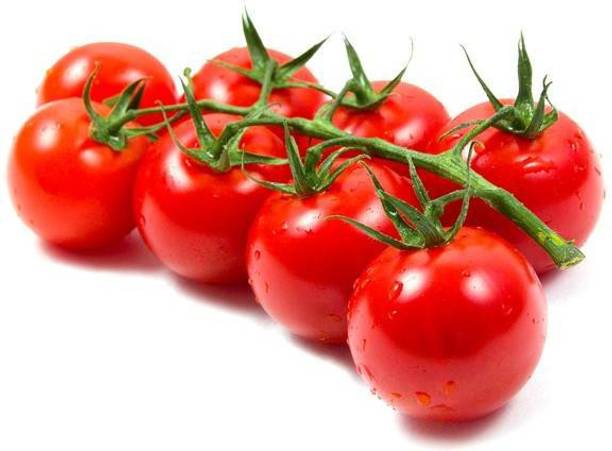 PLANTZON Cherry Tomato Seed