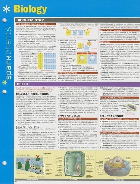 Biology SparkCharts