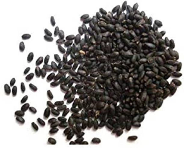 Organicgreen Herb TULSI BEEJ TULSI SEED Seed