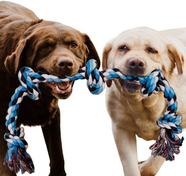 THE DDS STORE Large Dog Rope Toys for Aggressive Chewers Dog Rope Pet Tug Toy Cotton Rope Dog Chew Toys for Large Dogs Tug of War Toy Strong Chewing Teething Training Interactive Dog Rope Toy MixColor Cotton Chew Toy, Fetch Toy, Tough Toy, Training Aid, Frisbee For Dog & Cat
