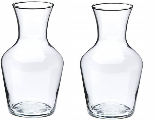 AGAMI Beautiful Transparent Bootle Shape Glass Pots for flowers and plants Plant Container Set