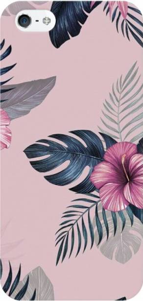 COBIERTAS Back Cover for Apple iPhone 5s