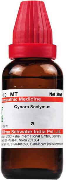 Dr.Willmar Schwabe India Cynara Scolymus Q Mother Tincture