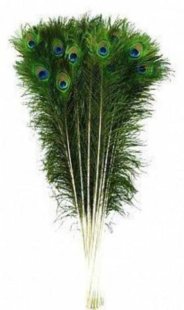 BlankLeaf Pack of 25 Decorative Feathers