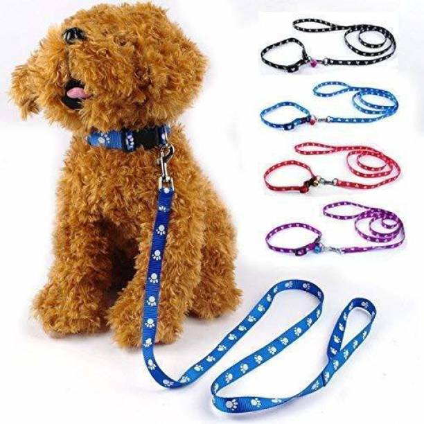 Sip Nylon Paw Print 10MM Collar Set for Puppies small Dog & Cat Collar & Leash