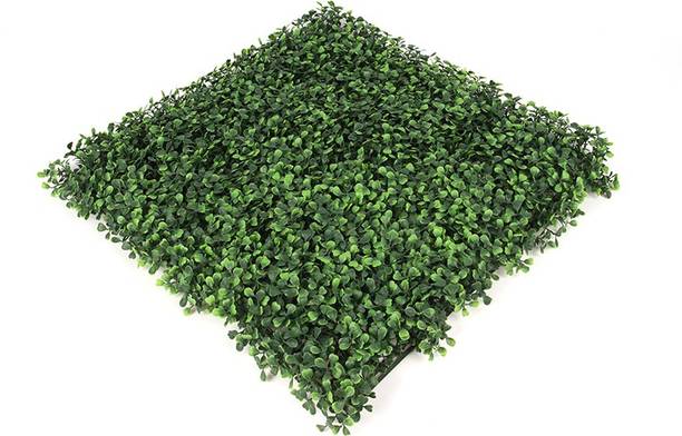 Ryme Artificial Grass Mat For Wall Decoration Size 60cmX40CM (Pack Of 1) Artificial Plant