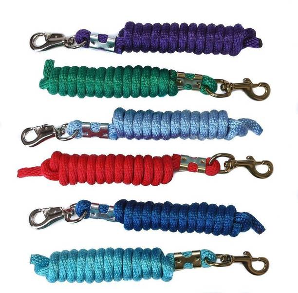 Horse Lead Buy Horse Lead Online at Best Prices In India