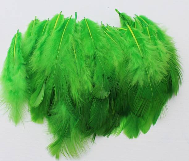 handymandy store Pack of 200 Decorative Feathers