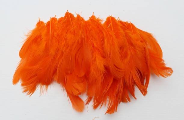 handymandy store Pack of 200 Decorative Feathers