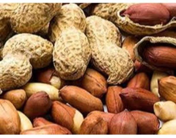 ORGANIC NATURE Roasted Shell Peanuts Salted Peanuts, Roasted Peanuts / CHILKA MUFLI (Pack of 900 Gram)