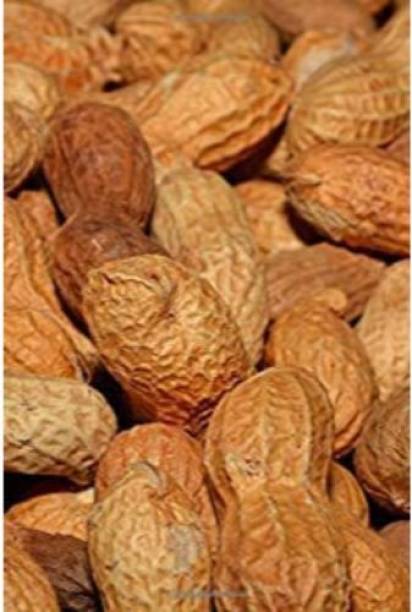 ORGANIC NATURE Roasted Shell Peanuts Salted Peanuts, Roasted Peanuts / CHILKA MUFLI (Pack of 2KG)
