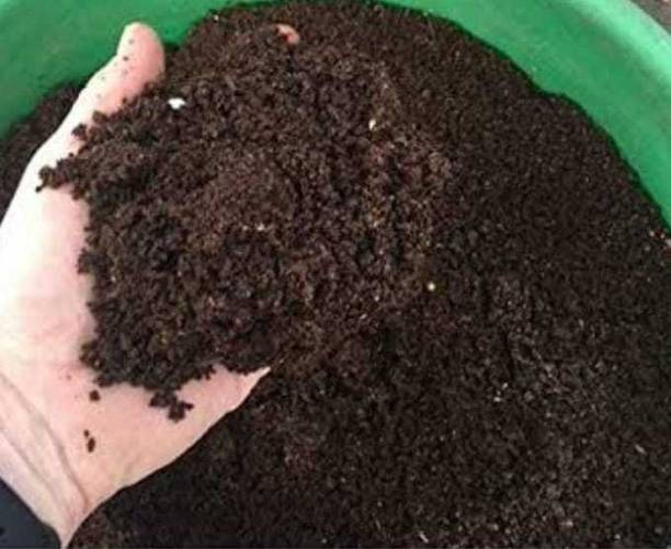 KAKA FERTLIZER Earthworm egg 250 nos (making for vermicompost) Fertilizer