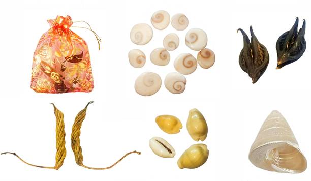 POOJA GHAR Devi Sri GuruJi Kit - Bat Head Root - 2 Pcs, BalaMudi YedaMudi - 1 pc each, Moti Shankh - 1 Pc, Gomti Chakra - 11 Pcs, Laxmi Gavvulu - 4 Pcs, Free Pouch - 1 Pc PTFE (Non-stick)