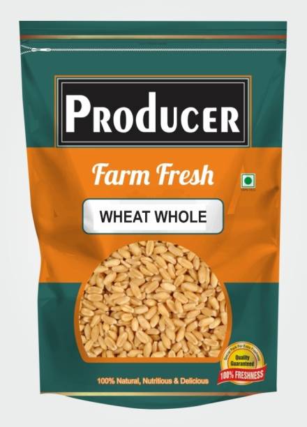 PRODUCER PREMIUM 1st GRADE SHARBATI WHOLE WHEAT GRAIN, 10kg Whole Wheat