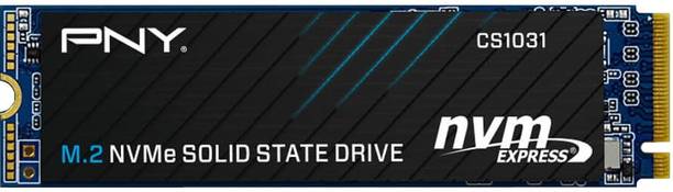 PNY NA 256 GB Laptop, Desktop Internal Solid State Drive (SSD) (CS1031 M.2)