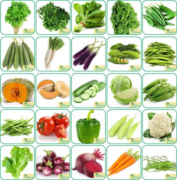 Agnico Agnico 25 Varieties of Vegetable 1700+ Seeds For Your Garden Beautiful Bloom High Germination Seeds with Instruction Manual Seed
