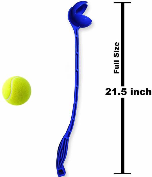 Sidearm Ball Thrower at Best Prices in India