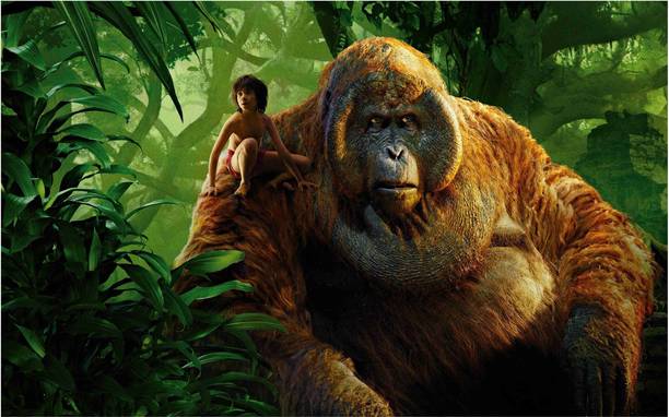 Mowgli The Jungle Book Wall Poster For Room With Gloss Lamination M11 Paper Print