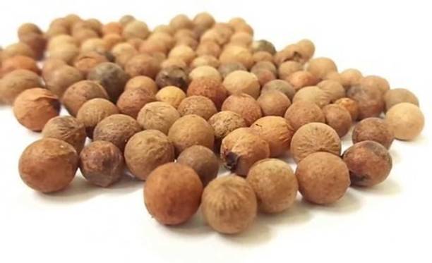 Sjeme White Saunder / White Chandan Seed Seed