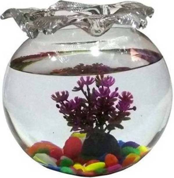 SAVORADE Glass Fish Tank for Small Betta Fish & Plants jhallar_10 (10 INCH) Round Ends Aquarium Tank