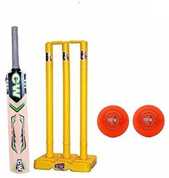CW Beginner Cricket Set Tennis Bat Kashmir Willow F/S Plastic Wicket Set PVC Ball Cricket Kit
