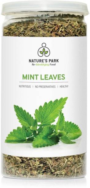 Nature's Park Mint Leaves (Dried) - 100% Natural & Sun Dried (Pudina Patta) in Pet Jar